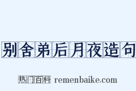 别舍弟后月夜造句是什么意思的图片